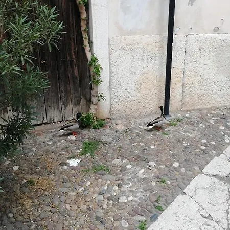 Goddess House شقة فيرونا