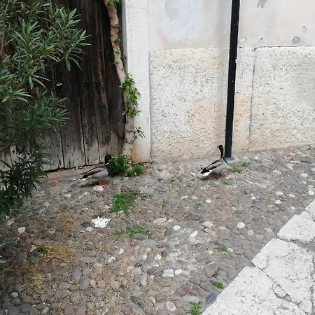 Goddess House Apartment Verona
